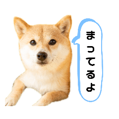 [LINEスタンプ] こうたくん4