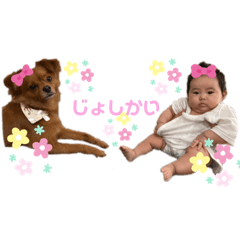 [LINEスタンプ] 愛しのりーこ♡ 3