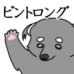 [LINEスタンプ] ゆるかわいいビントロングスタンプ