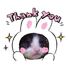 [LINEスタンプ] もー＆ペコ
