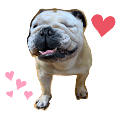 [LINEスタンプ] おすたぐらむ
