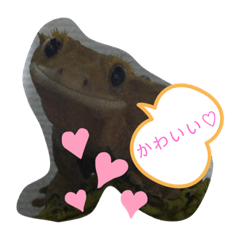 [LINEスタンプ] 可愛いヤモリーズ