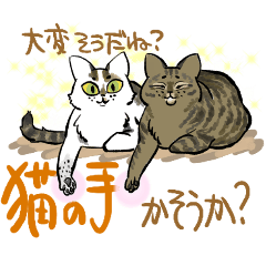 [LINEスタンプ] 猫ちゃんブラザーズの日常