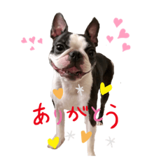 [LINEスタンプ] レイちいスタンプ②
