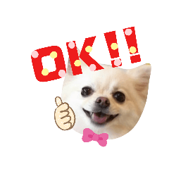 [LINEスタンプ] BIBIchandayo.