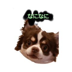 [LINEスタンプ] アランの毎日