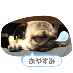 [LINEスタンプ] いっちゃんちのカンタくん