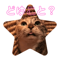 [LINEスタンプ] 楽しい日常デス