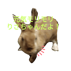 [LINEスタンプ] りさちゃんスタンプ！