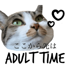 [LINEスタンプ] 吉野達