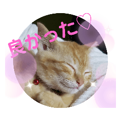 [LINEスタンプ] もかstamp③