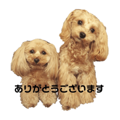 [LINEスタンプ] ダップー＆マルプースタンプ2