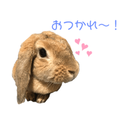 [LINEスタンプ] 蓮のお気に入り