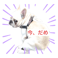 [LINEスタンプ] び、び、ビーム！