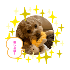 [LINEスタンプ] ヨーゼフスタンプ 1-1