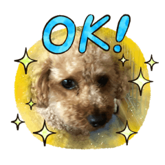 [LINEスタンプ] あーすvitamin