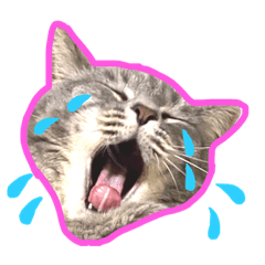 [LINEスタンプ] イシイのニャーさん3