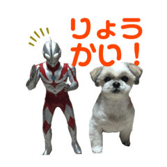[LINEスタンプ] ランちゃん。01