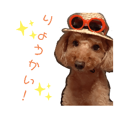 [LINEスタンプ] 愛犬ちょこびのスタンプ