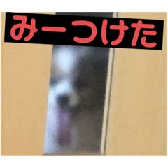 [LINEスタンプ] ランと混ざり物