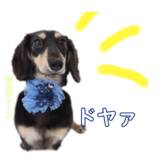 [LINEスタンプ] 大豆くんときどきVIVIちゃん最後にCLIP