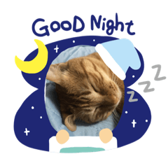 [LINEスタンプ] ラフちゃんだよ