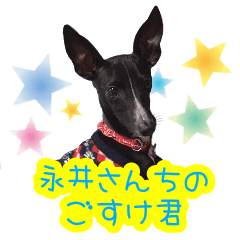 [LINEスタンプ] 永井さんちのごすけ君