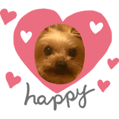 [LINEスタンプ] めめちゃん♥