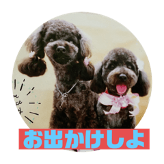 [LINEスタンプ] ワンズのつぶやき〜