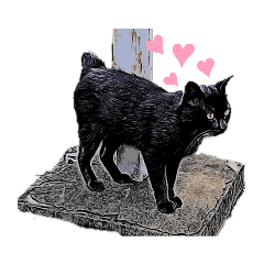 [LINEスタンプ] 黒猫ダイコクちゃん＠大塔駅（vol.2）