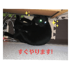 [LINEスタンプ] nagisa8