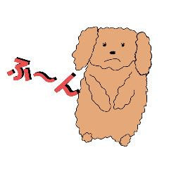 [LINEスタンプ] 無口なトイプードル