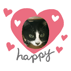[LINEスタンプ] 家のハナちゃん