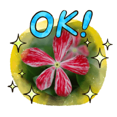 [LINEスタンプ] 可愛く咲いたお花スタンプいろいろ