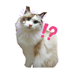 [LINEスタンプ] うちのペット！
