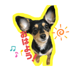 [LINEスタンプ] アンジ様♡