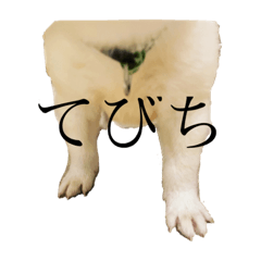 [LINEスタンプ] ひなふく