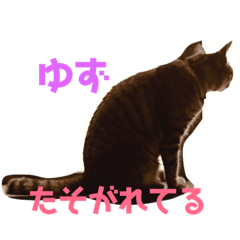 [LINEスタンプ] ゆずの1日ぱーと1