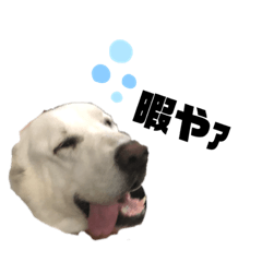 [LINEスタンプ] ルキーナさんの日常
