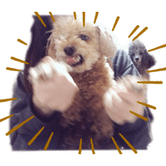 [LINEスタンプ] くれれば