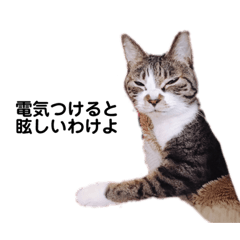 [LINEスタンプ] なかまたちゆかいな