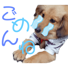 [LINEスタンプ] ガロらいとフレンド