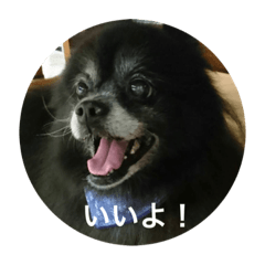 [LINEスタンプ] キャンディとコロン