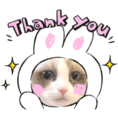 [LINEスタンプ] ラグドールのさくらちゃん①