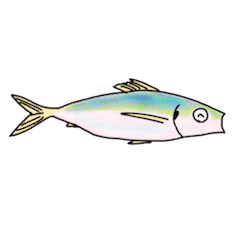 [LINEスタンプ] 魚と夏釣り