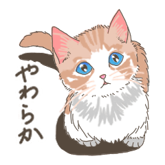 [LINEスタンプ] やわらか言葉の猫スタンプ