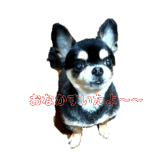 [LINEスタンプ] 癒しのレンくん
