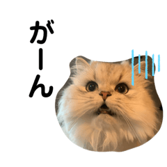 [LINEスタンプ] 我が家のむーたん2