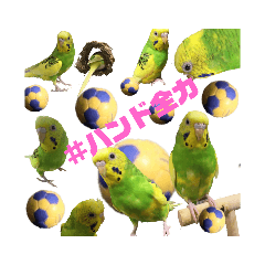 [LINEスタンプ] らんまるすたんぷ5
