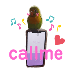 [LINEスタンプ] Love Bird samba ＜ボタンインコ＞❺の画像（メイン）